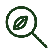 Detection