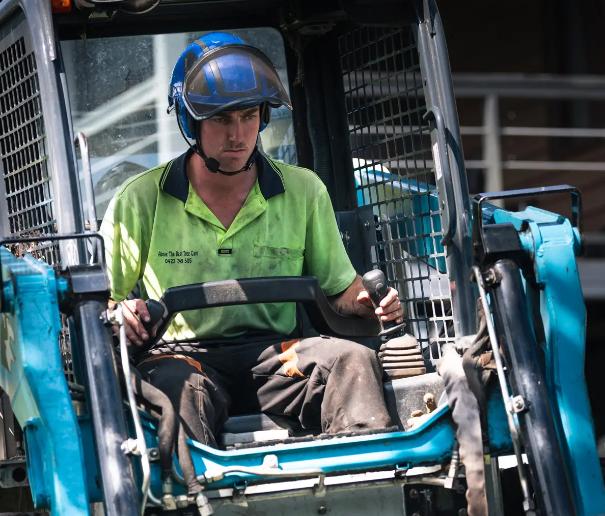 Above The Rest Tree Care - South Coast
