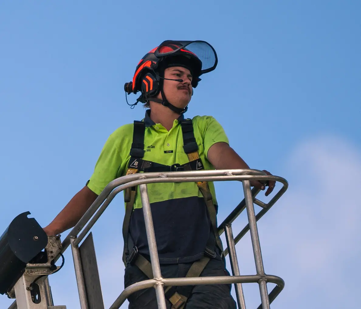 Above The Rest Tree Care - South Coast