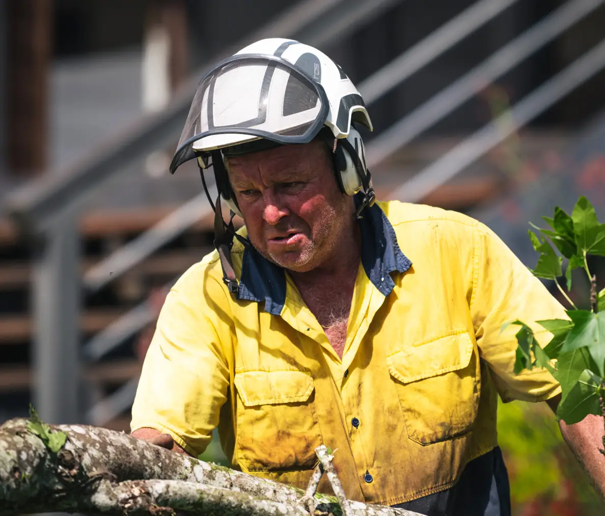 Above The Rest Tree Care - South Coast