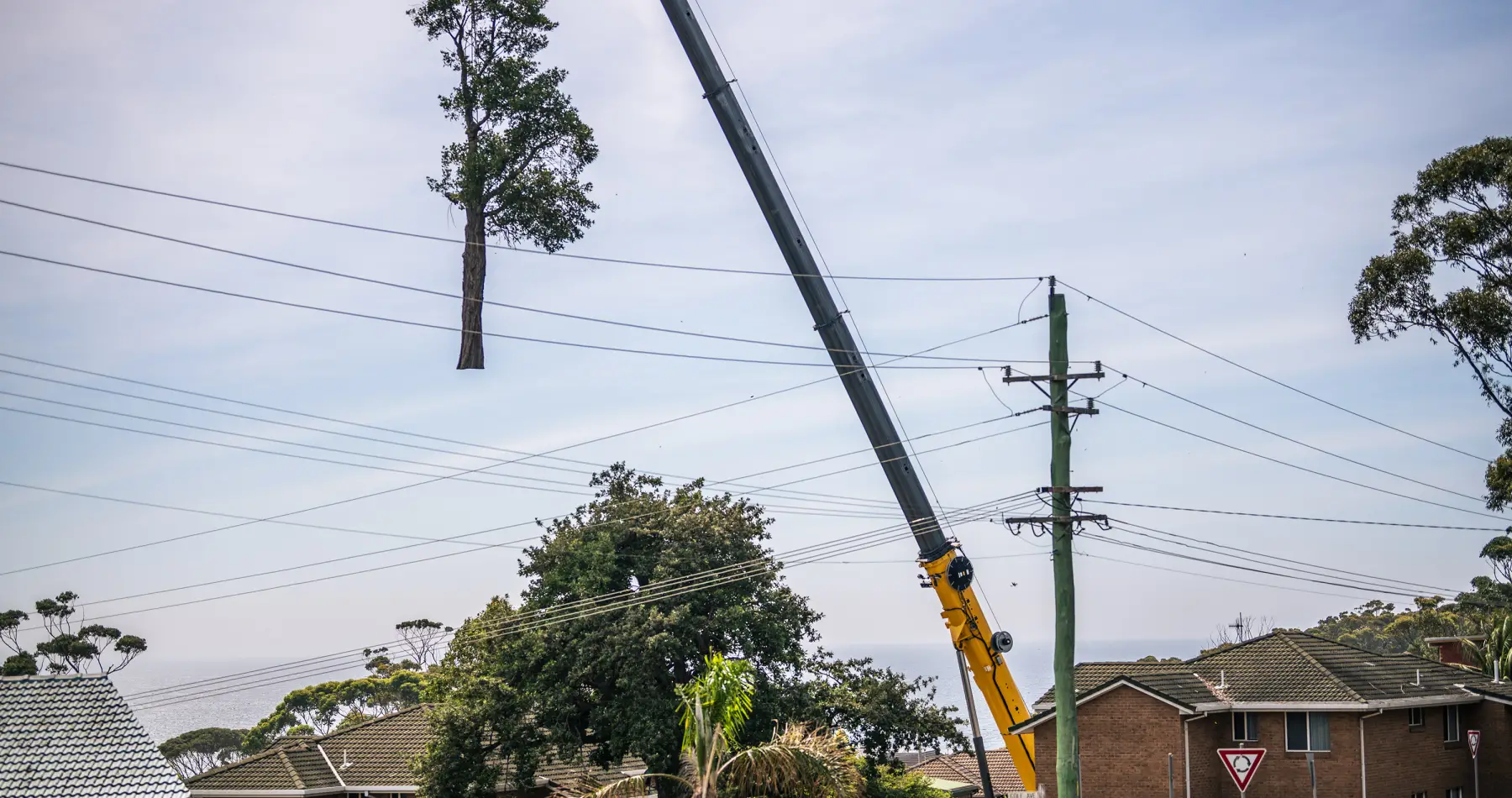 Mollymook Tree Removal By Crane
